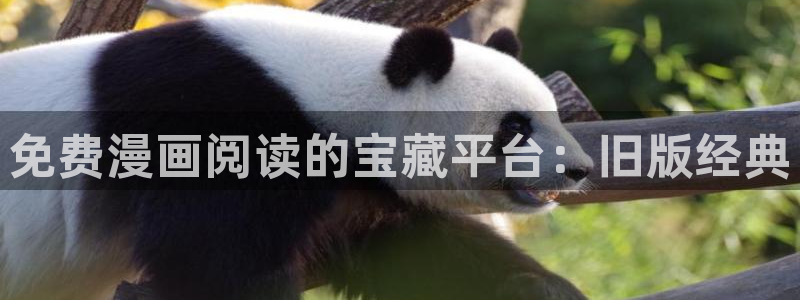 虫虫漫画免费漫画弹窗入口